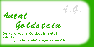 antal goldstein business card